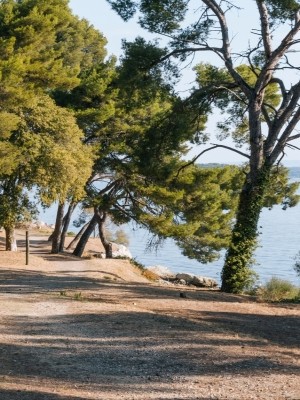 Balade pédestre commentée de l'étang de Berre avec le GIPREB